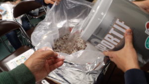 IMG_20171123_101144[1]